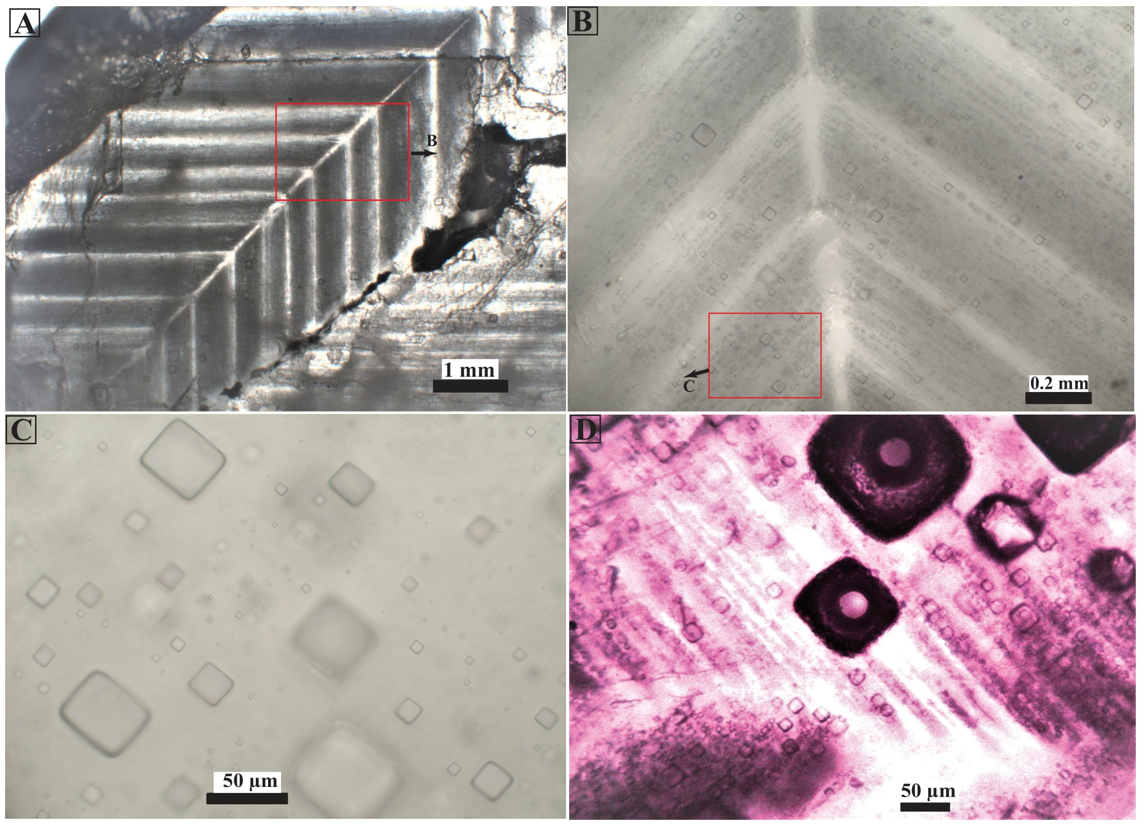 Fluid inclusions along chevron growth zones in halite
