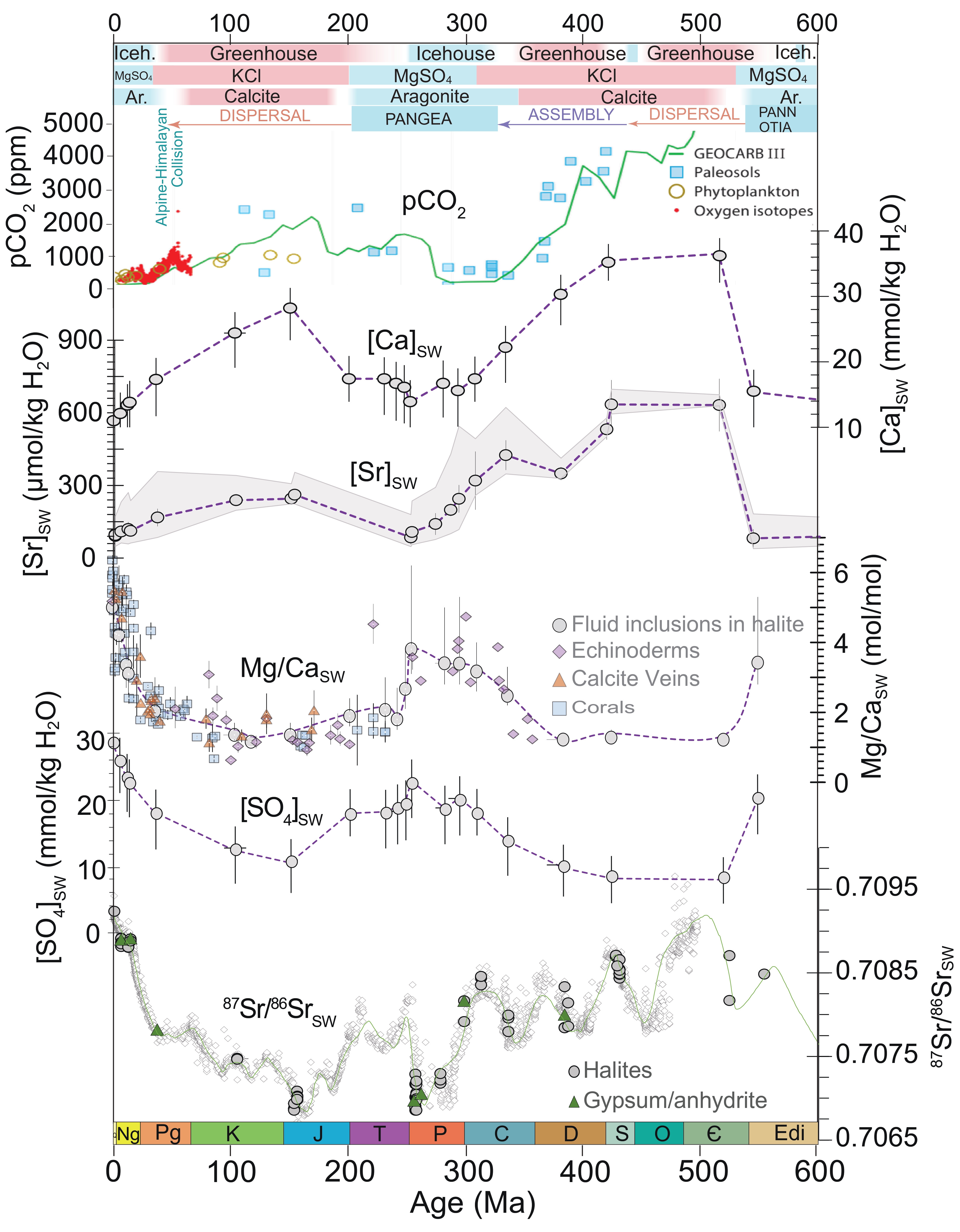 Phanerozoic seawater and CO2 record